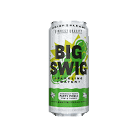 Sparkling Water Pickle Sticker by Big Swig