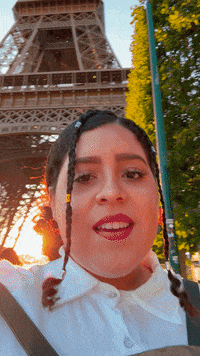 France Travel GIF