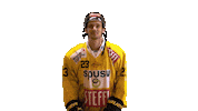Hockey Ice Sticker by Vienna Capitals