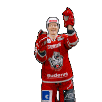 Hockey Del2 Sticker by Eisbären Regensburg