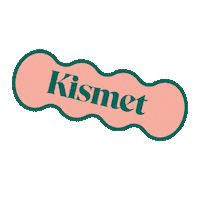 KismetPets john legend chrissy teigen kismet Sticker