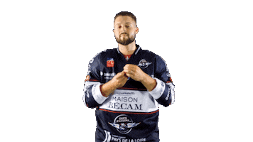 Hockey Ice Sticker by Les Ducs d'Angers