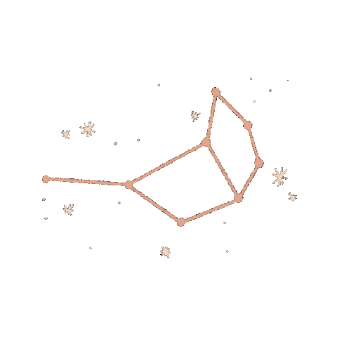 Stars Vida Sticker by Pleia Life