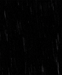 misc GIF by hoppip