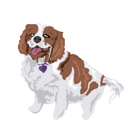 king charles dog Sticker by nirmarx