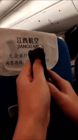 comment-economiser giphyupload GIF