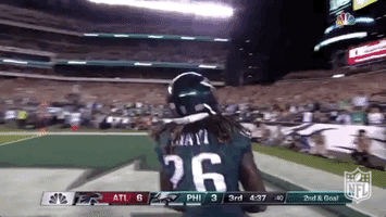 philadelphia eagles football GIF by NFL