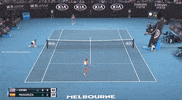 GIF by Tennis Channel