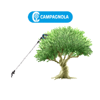 Campagnola Sticker by Semak Makina