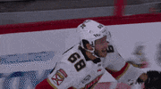happy ice hockey GIF by NHL