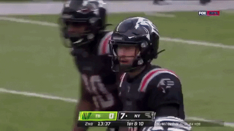 VicVik giphygifmaker GIF