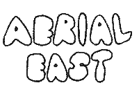 Aerial East Sticker by Partisan Records
