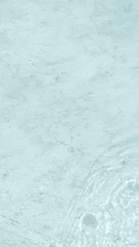 Fashion Summer GIF by Casol