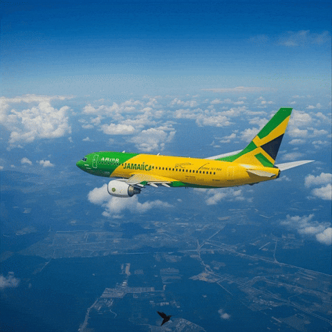 Take Off Fly GIF by Nova Sound