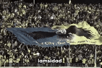 Duhok GIF
