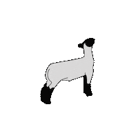 nestatefair sheep fair ne lamb Sticker