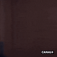 Bonjour Lol GIF by CANAL+