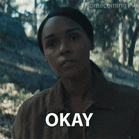 Homecoming GIF by Amazon Prime Video