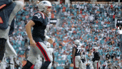 Nfl Pats GIF by New England Patriots