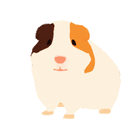 Guineapig Forester Sticker