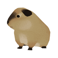 Guineapig Forester Sticker