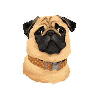 Otispp Sticker by Pickle's Pawtraits