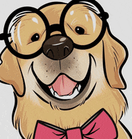 DecoprintHN love dog pet golden GIF