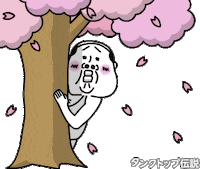 Cherry Blossom Spring Sticker