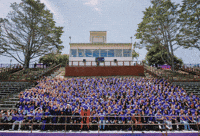 The Wave School GIF by San Francisco State University