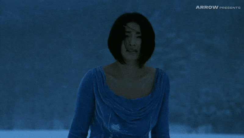 Takashi Miike Horror GIF by Arrow Video
