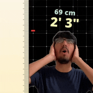 2' 3"