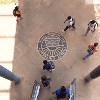 trinityuniversity trinity university GIF