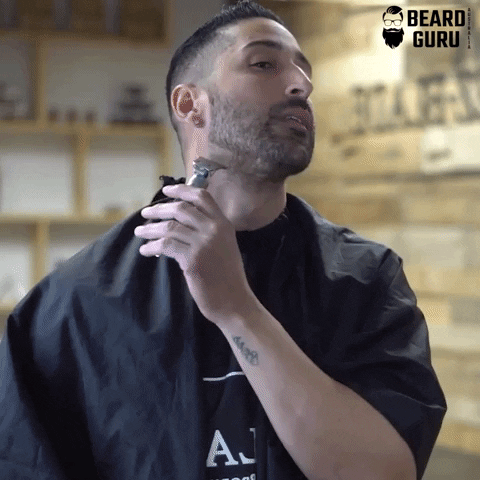 donhesh giphygifmaker GIF