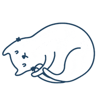Cat Dog Sticker by Santista Decora