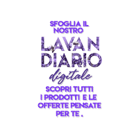 Festival Lavender Sticker by lavandadellago