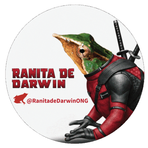 Dead Pool Sticker by Ranita de Darwin ONG