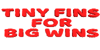 Party Win Sticker by Tiny Fish Co.