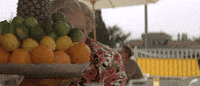 lurking robin williams GIF