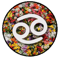Happy Birthday Sticker