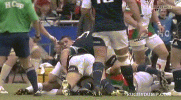 pardon GIF