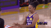 Los Angeles Sparks GIF by The Official Page of the Los Angeles Sparks