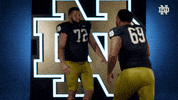 Notre Dame Banks GIF by Notre Dame Fighting Irish