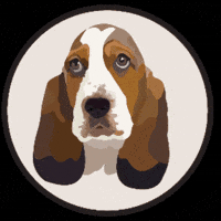 Blitzlesayiloveit GIF