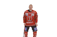 Celebration Goal Sticker by Örebro Hockey