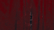Break The Rules GIF by Charli XCX