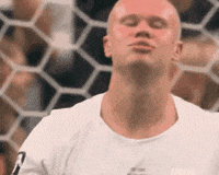 Fifa GIF