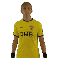 Football Goalkeeper Sticker by BFC Dynamo