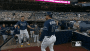 Tampa Bay Rays Hug GIF by MLB