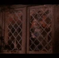 hocus pocus 90s GIF
