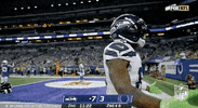 Seattle Seahawks Football GIF by NFL